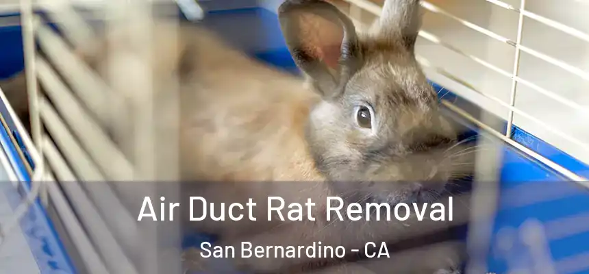  Air Duct Rat Removal San Bernardino - CA