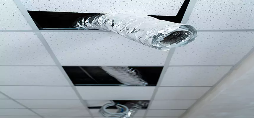 Affordable HVAC Sanitizing After Pest Removal in San Bernardino