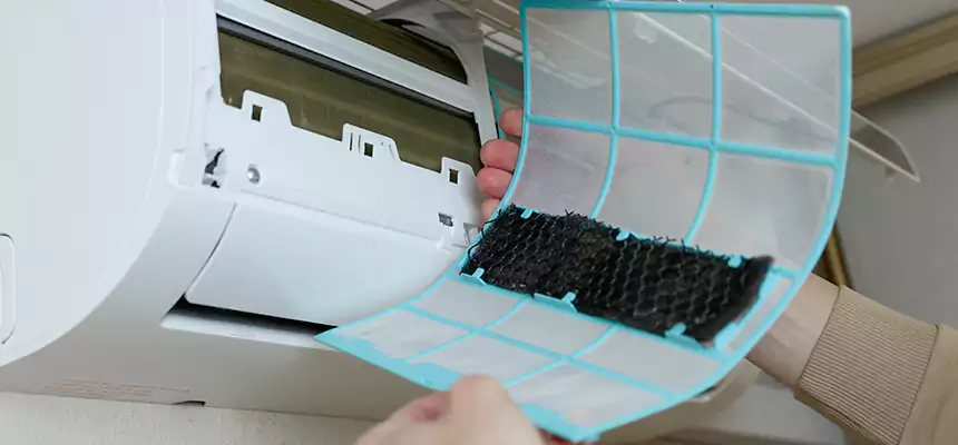 Gentle Ductwork Odor-Control Pet Dander Duct Cleaning in San Bernardino, CA