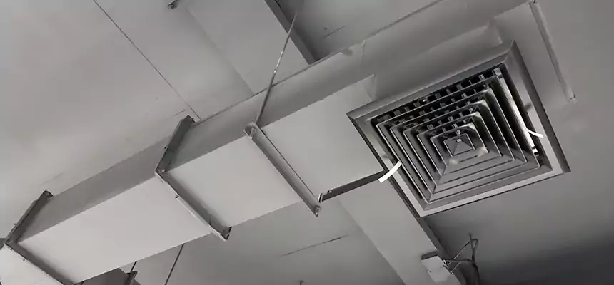 Our Rodent Droppings In Vents Services in San Bernardino, CA