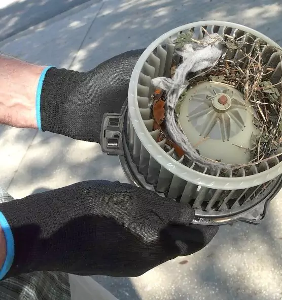 About Air Duct Rat Removal in San Bernardino, CA