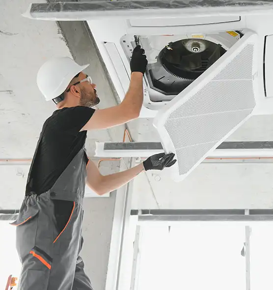 About Air Duct Rodent Removal in San Bernardino, CA