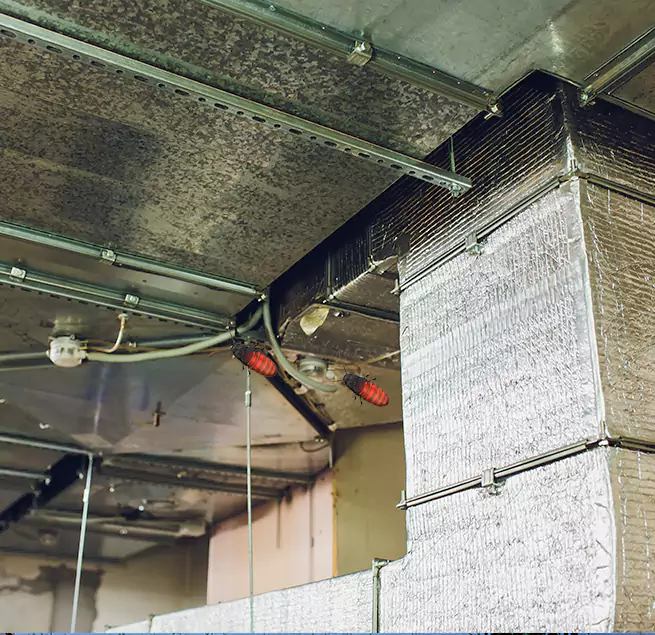 Why Homeowners & Businesses Trust Us in San Bernardino, CA?