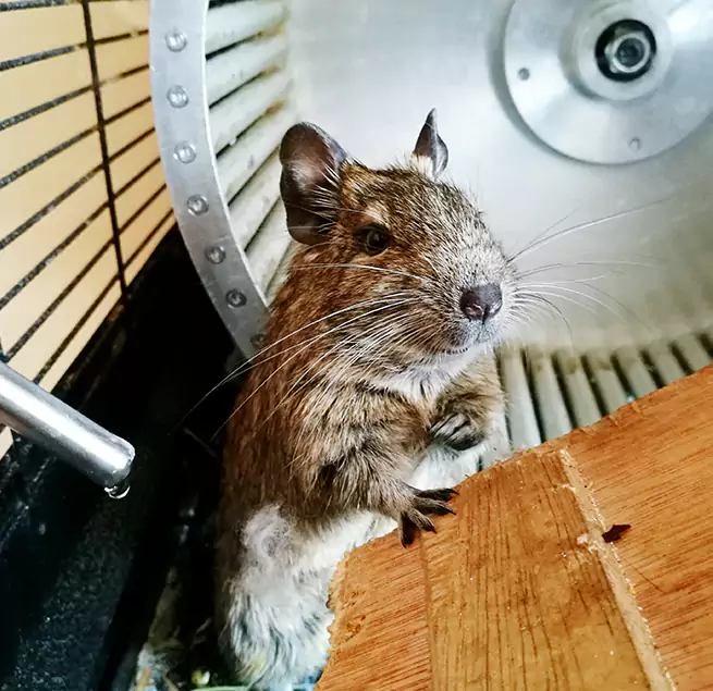 Why Homeowners & Businesses Trust Us San Bernardino, CA